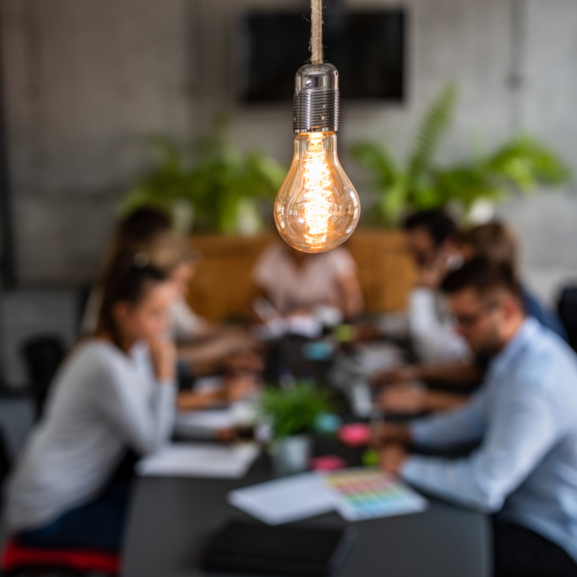 Création d'entreprise
